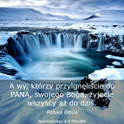 Picture 03 - Powtórzonego 4:4 POLUBG - A wy, którzy przylgnęliście do PANA, swojego - Bible Verse Picture