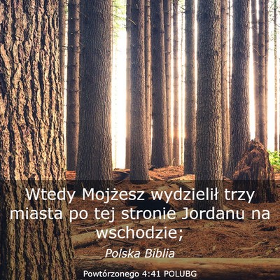 Picture 03 - Powtórzonego 4:41 POLUBG - Wtedy Mojżesz wydzielił trzy miasta po tej - Bible Verse Picture