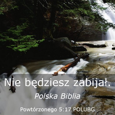 Picture 03 - Powtórzonego 5:17 POLUBG - Nie będziesz - Bible Verse Picture