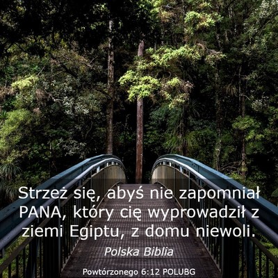 Picture 03 - Powtórzonego 6:12 POLUBG - Strzeż się, abyś nie zapomniał PANA, który - Bible Verse Picture
