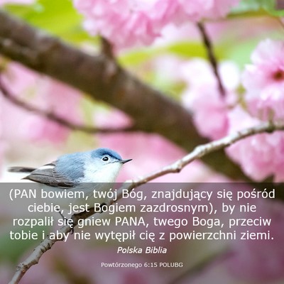 Picture 03 - Powtórzonego 6:15 POLUBG - (PAN bowiem, twój Bóg, znajdujący się - Bible Verse Picture