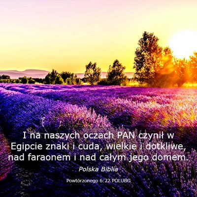 Picture 03 - Powtórzonego 6:22 POLUBG - I na naszych oczach PAN czynił w Egipcie znaki i - Bible Verse Picture