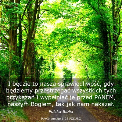 Picture 03 - Powtórzonego 6:25 POLUBG - I będzie to nasza sprawiedliwość, gdy - Bible Verse Picture