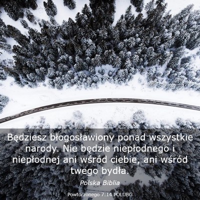 Picture 03 - Powtórzonego 7:14 POLUBG - Będziesz błogosławiony ponad wszystkie narody. - Bible Verse Picture
