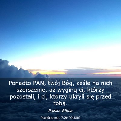 Picture 03 - Powtórzonego 7:20 POLUBG - Ponadto PAN, twój Bóg, ześle na nich - Bible Verse Picture