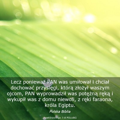 Picture 03 - Powtórzonego 7:8 POLUBG - Lecz ponieważ PAN was umiłował i chciał - Bible Verse Picture