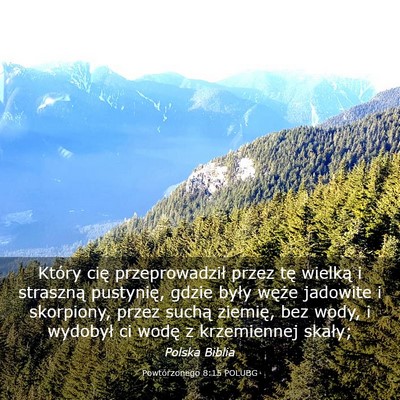 Picture 03 - Powtórzonego 8:15 POLUBG - Który cię przeprowadził przez tę wielką i - Bible Verse Picture