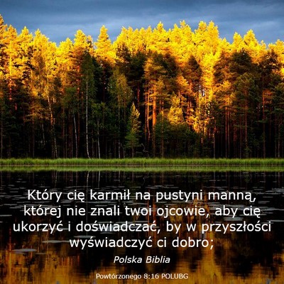 Picture 03 - Powtórzonego 8:16 POLUBG - Który cię karmił na pustyni manną, której - Bible Verse Picture