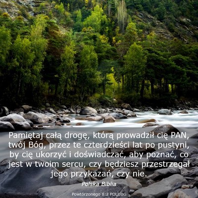 Picture 03 - Powtórzonego 8:2 POLUBG - Pamiętaj całą drogę, którą prowadził cię - Bible Verse Picture
