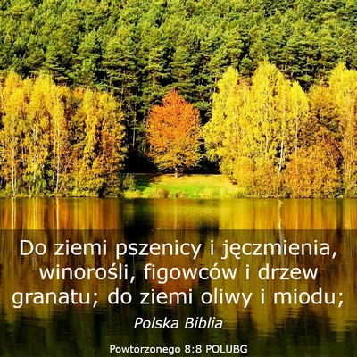 Picture 03 - Powtórzonego 8:8 POLUBG - Do ziemi pszenicy i jęczmienia, winorośli, - Bible Verse Picture