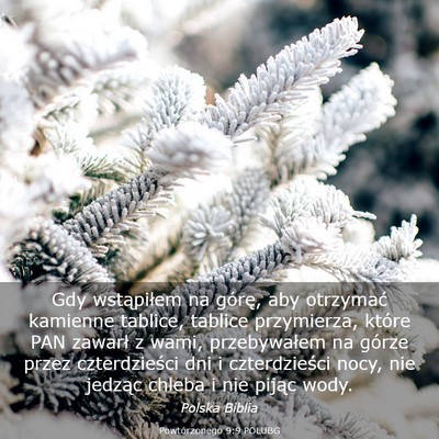 Picture 03 - Powtórzonego 9:9 POLUBG - Gdy wstąpiłem na górę, aby otrzymać kamienne - Bible Verse Picture