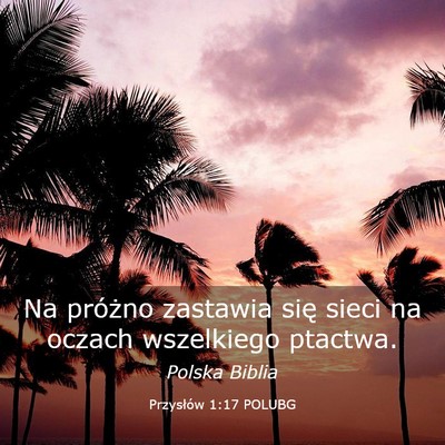 Picture 03 - Przysłów 1:17 POLUBG - Na próżno zastawia się sieci na oczach - Bible Verse Picture