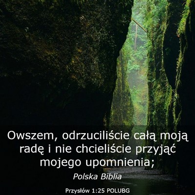 Picture 03 - Przysłów 1:25 POLUBG - Owszem, odrzuciliście całą moją radę i nie - Bible Verse Picture