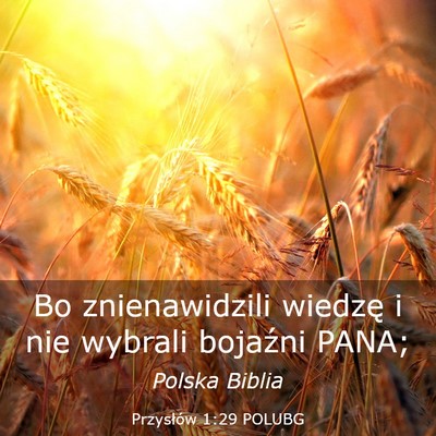 Picture 03 - Przysłów 1:29 POLUBG - Bo znienawidzili wiedzę i nie wybrali bojaźni - Bible Verse Picture