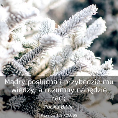Picture 03 - Przysłów 1:5 POLUBG - Mądry posłucha i przybędzie mu wiedzy, a - Bible Verse Picture