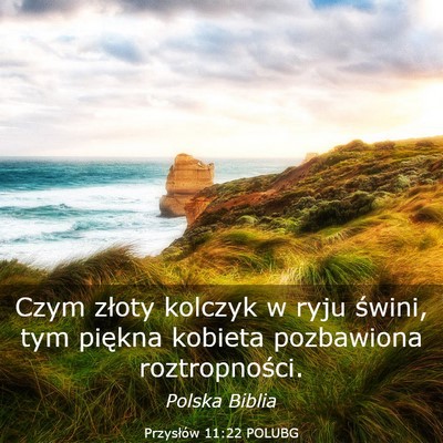 Picture 03 - Przysłów 11:22 POLUBG - Czym złoty kolczyk w ryju świni, tym piękna - Bible Verse Picture