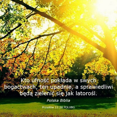 Picture 03 - Przysłów 11:28 POLUBG - Kto ufność pokłada w swych bogactwach, ten - Bible Verse Picture