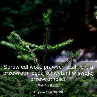 Picture 03 - Przysłów 11:6 POLUBG - Sprawiedliwość prawych ocali ich, a przewrotni - Bible Verse Picture