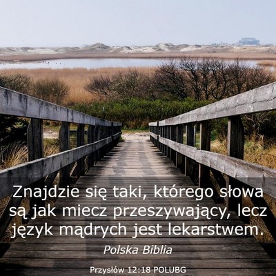 Picture 03 - Przysłów 12:18 POLUBG - Znajdzie się taki, którego słowa są jak miecz - Bible Verse Picture