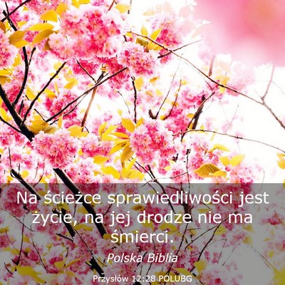 Picture 03 - Przysłów 12:28 POLUBG - Na ścieżce sprawiedliwości jest życie, na jej - Bible Verse Picture