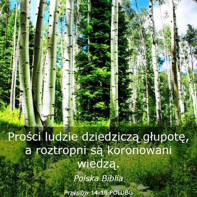 Picture 03 - Przysłów 14:18 POLUBG - Prości ludzie dziedziczą głupotę, a roztropni - Bible Verse Picture