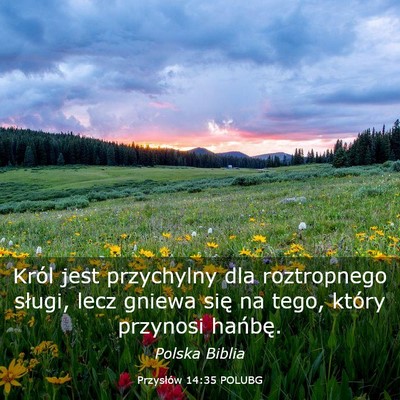Picture 03 - Przysłów 14:35 POLUBG - Król jest przychylny dla roztropnego sługi, - Bible Verse Picture
