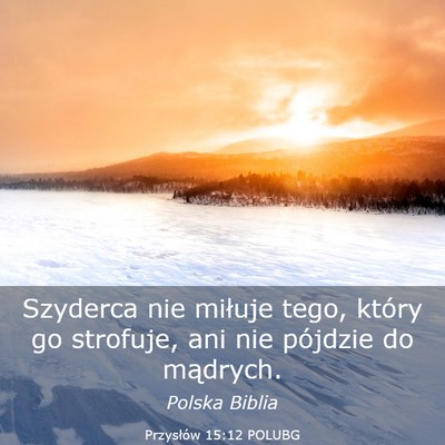 Picture 03 - Przysłów 15:12 POLUBG - Szyderca nie miłuje tego, który go strofuje, - Bible Verse Picture
