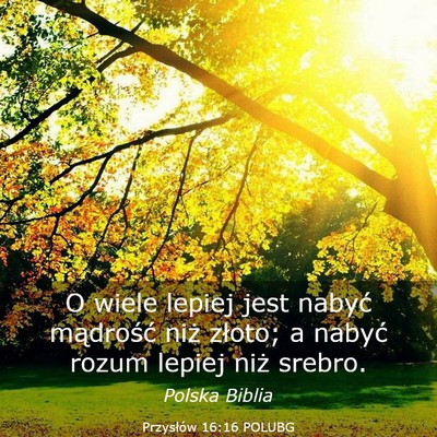Picture 03 - Przysłów 16:16 POLUBG - O wiele lepiej jest nabyć mądrość niż - Bible Verse Picture