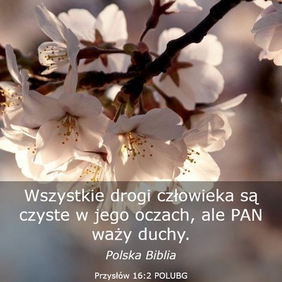 Picture 03 - Przysłów 16:2 POLUBG - Wszystkie drogi człowieka są czyste w jego - Bible Verse Picture