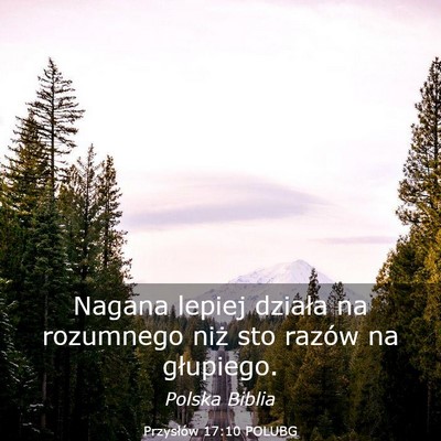 Picture 03 - Przysłów 17:10 POLUBG - Nagana lepiej działa na rozumnego niż sto - Bible Verse Picture