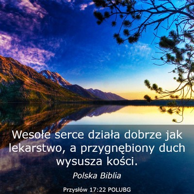 Picture 03 - Przysłów 17:22 POLUBG - Wesołe serce działa dobrze jak lekarstwo, a - Bible Verse Picture