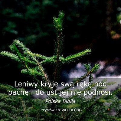Picture 03 - Przysłów 19:24 POLUBG - Leniwy kryje swą rękę pod pachę i do ust jej - Bible Verse Picture