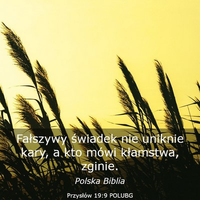 Picture 03 - Przysłów 19:9 POLUBG - Fałszywy świadek nie uniknie kary, a kto mówi - Bible Verse Picture