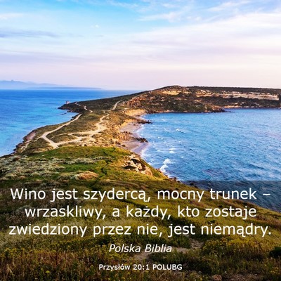 Picture 03 - Przysłów 20:1 POLUBG - Wino jest szydercą, mocny trunek – wrzaskliwy, - Bible Verse Picture
