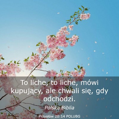 Picture 03 - Przysłów 20:14 POLUBG - To liche, to liche, mówi kupujący, ale chwali - Bible Verse Picture