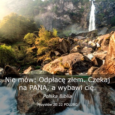 Picture 03 - Przysłów 20:22 POLUBG - Nie mów: Odpłacę złem. Czekaj na PANA, a - Bible Verse Picture