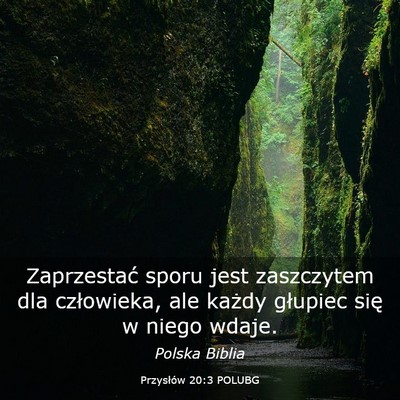 Picture 03 - Przysłów 20:3 POLUBG - Zaprzestać sporu jest zaszczytem dla człowieka, - Bible Verse Picture