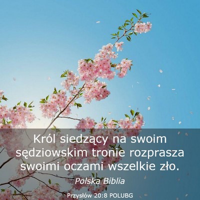 Picture 03 - Przysłów 20:8 POLUBG - Król siedzący na swoim sędziowskim tronie - Bible Verse Picture