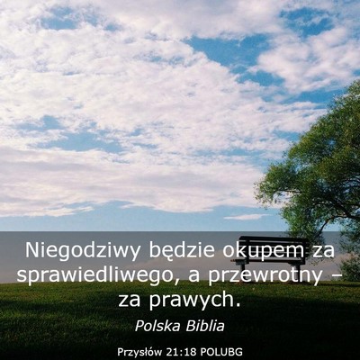 Picture 03 - Przysłów 21:18 POLUBG - Niegodziwy będzie okupem za sprawiedliwego, a - Bible Verse Picture