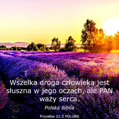 Picture 03 - Przysłów 21:2 POLUBG - Wszelka droga człowieka jest słuszna w jego - Bible Verse Picture