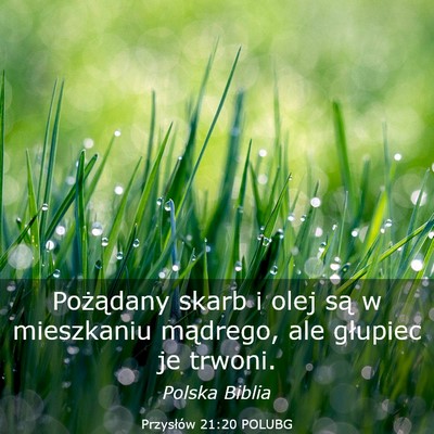 Picture 03 - Przysłów 21:20 POLUBG - Pożądany skarb i olej są w mieszkaniu - Bible Verse Picture