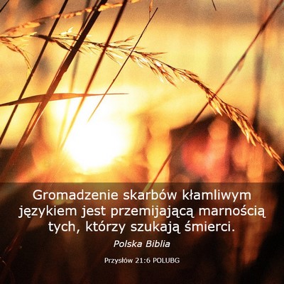 Picture 03 - Przysłów 21:6 POLUBG - Gromadzenie skarbów kłamliwym językiem jest - Bible Verse Picture