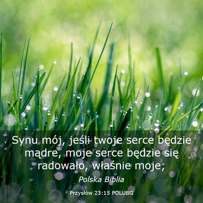 Picture 03 - Przysłów 23:15 POLUBG - Synu mój, jeśli twoje serce będzie mądre, - Bible Verse Picture