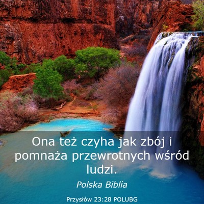 Picture 03 - Przysłów 23:28 POLUBG - Ona też czyha jak zbój i pomnaża przewrotnych - Bible Verse Picture