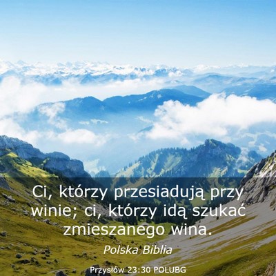 Picture 03 - Przysłów 23:30 POLUBG - Ci, którzy przesiadują przy winie; ci, którzy - Bible Verse Picture
