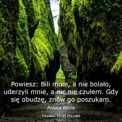 Picture 03 - Przysłów 23:35 POLUBG - Powiesz: Bili mnie, a nie bolało, uderzyli mnie, - Bible Verse Picture