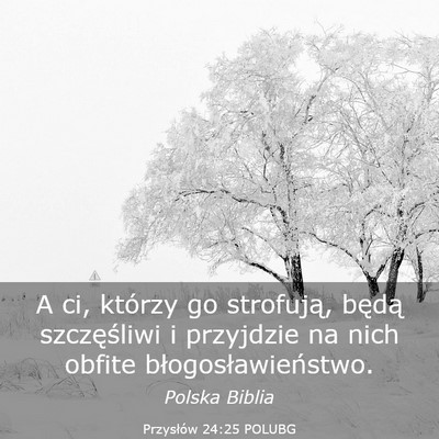 Picture 03 - Przysłów 24:25 POLUBG - A ci, którzy go strofują, będą szczęśliwi i - Bible Verse Picture
