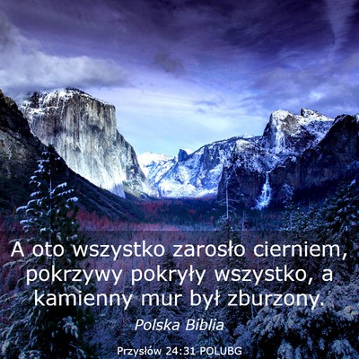 Picture 03 - Przysłów 24:31 POLUBG - A oto wszystko zarosło cierniem, pokrzywy - Bible Verse Picture