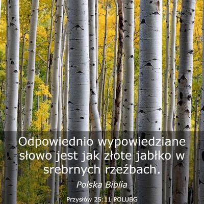 Picture 03 - Przysłów 25:11 POLUBG - Odpowiednio wypowiedziane słowo jest jak złote - Bible Verse Picture
