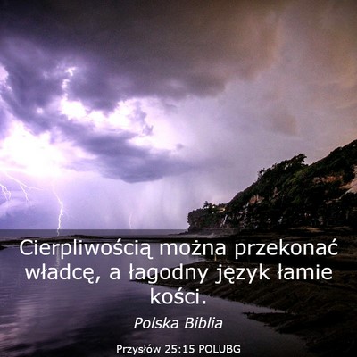 Picture 03 - Przysłów 25:15 POLUBG - Cierpliwością można przekonać władcę, a - Bible Verse Picture